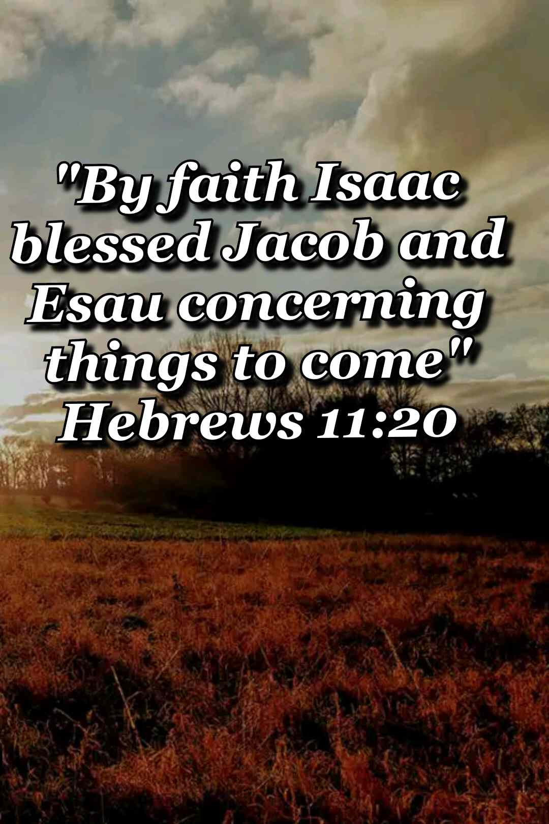bible varses wallpaper faith (Hebrews 11:20)