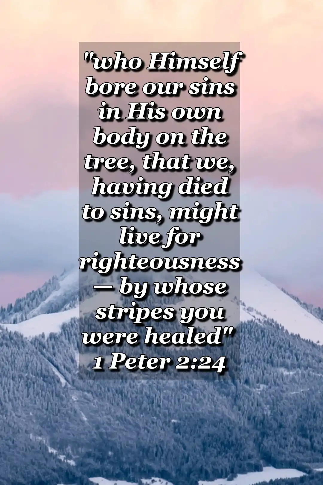 Bible-Verses_about_death-Image (1 Peter 2:24)