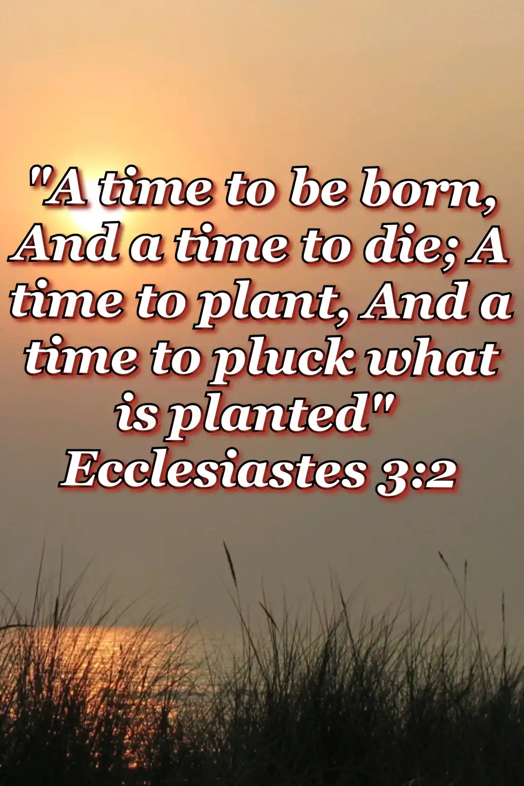 Bible-Verses_about_death-Image (Ecclesiastes 3:2)