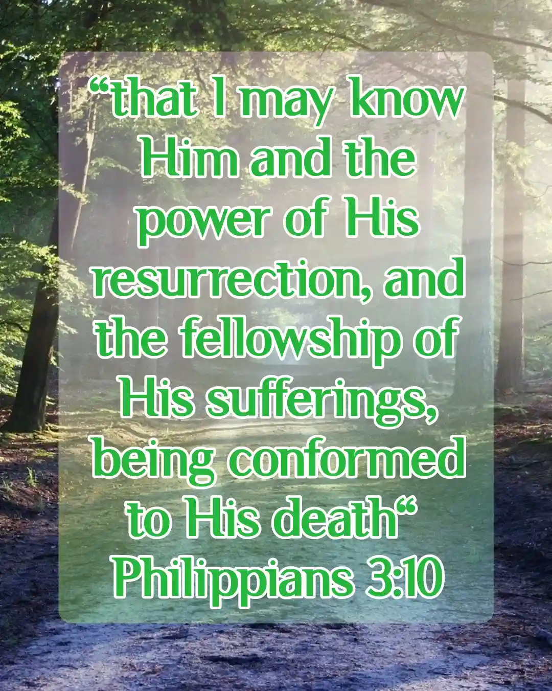 Bible Verses For Resurrection (Philippians 3:10)