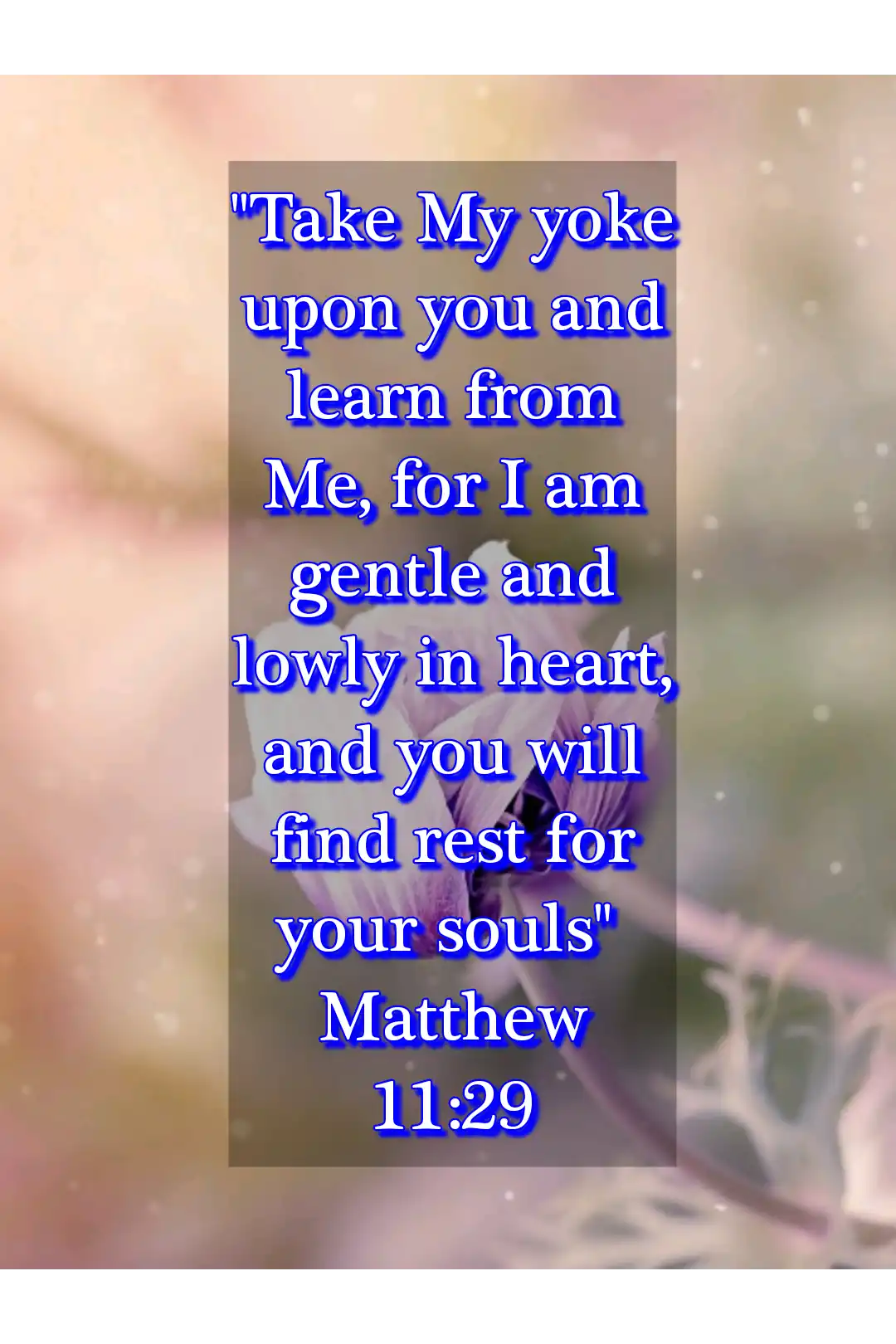 bible verses about humble (Matthew 11:29)