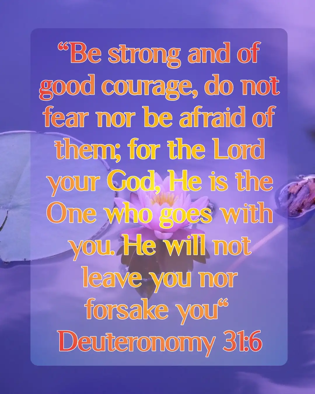 bible verses faithand strength(Deuteronomy 31:6)