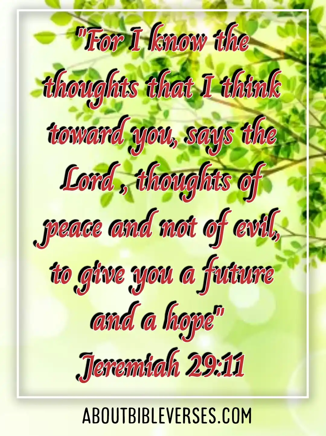 Bible Verses About Hopes And Dreams (Jeremiah 29:11)