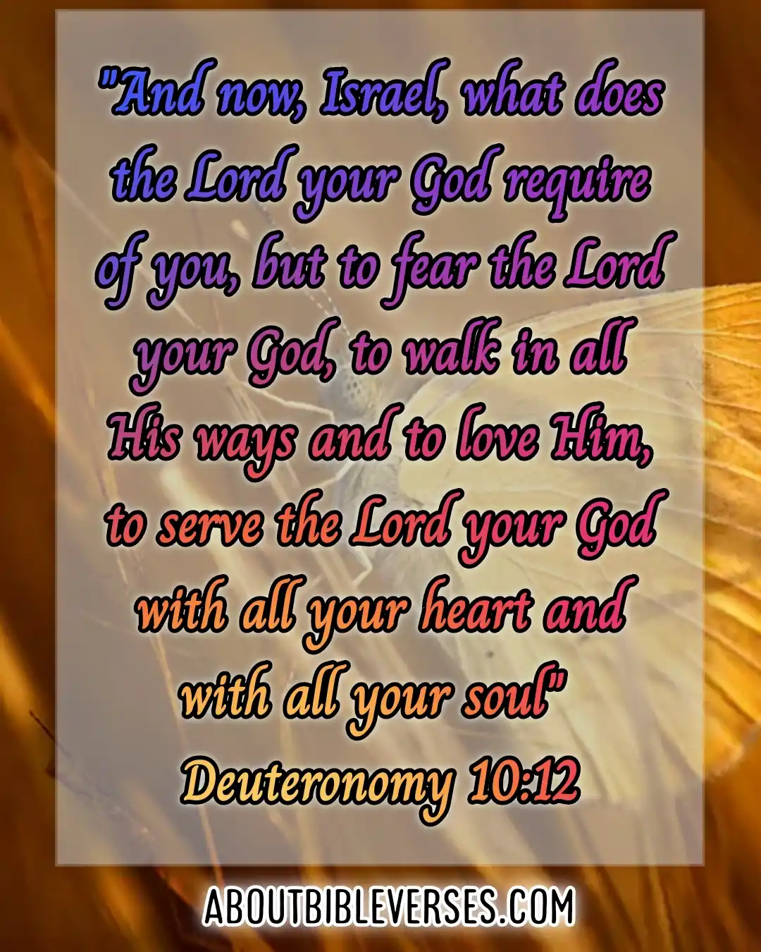 Bible Verses Fear Of God (Deuteronomy 10:12)