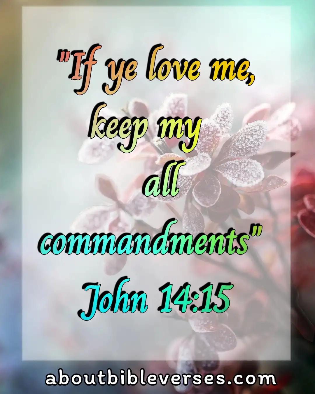 Today bible verse(John 14:15)