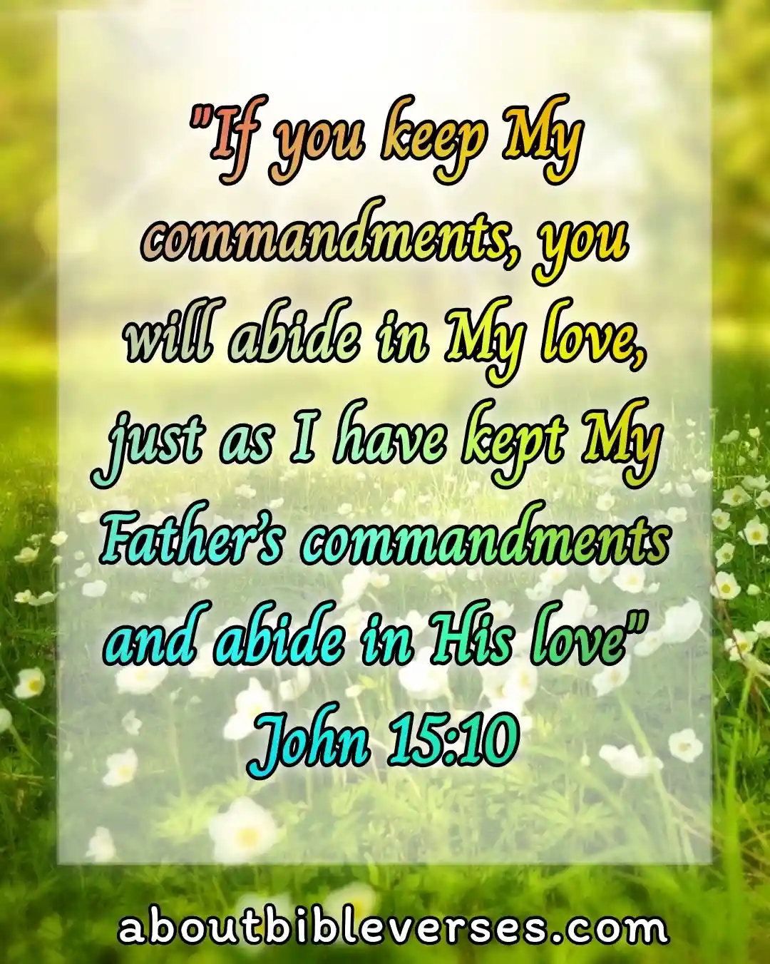 bible verses about Obedience (John 15:10)