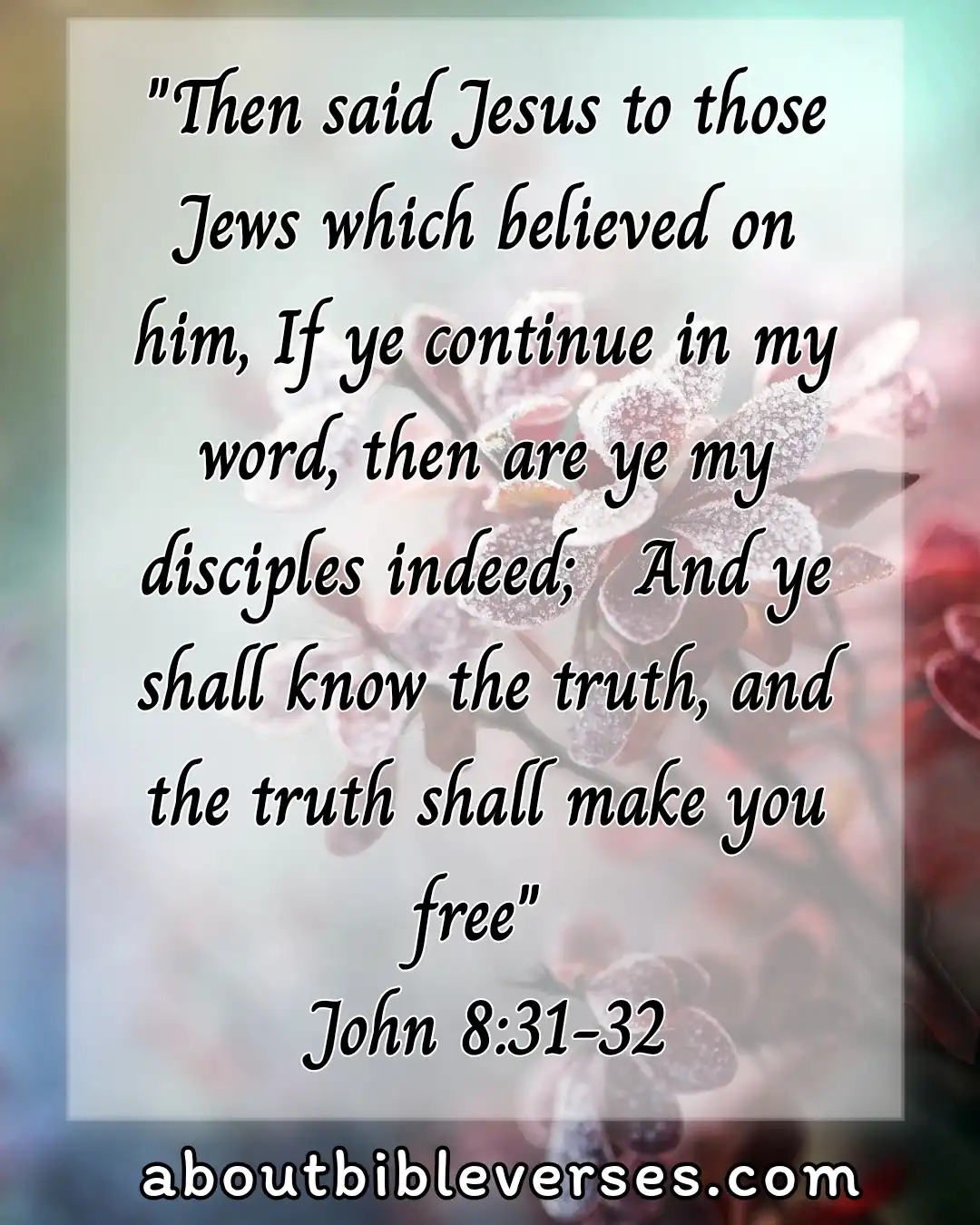 bible verses about Obedience (John 8:31-32)