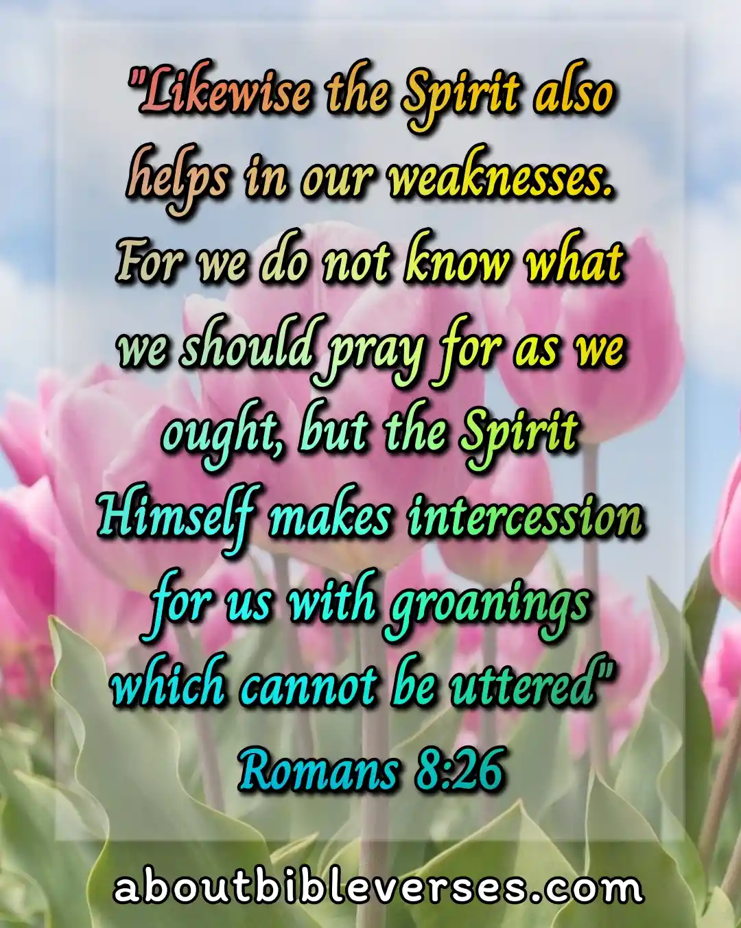bible verses about weakness (Romans 8:26)