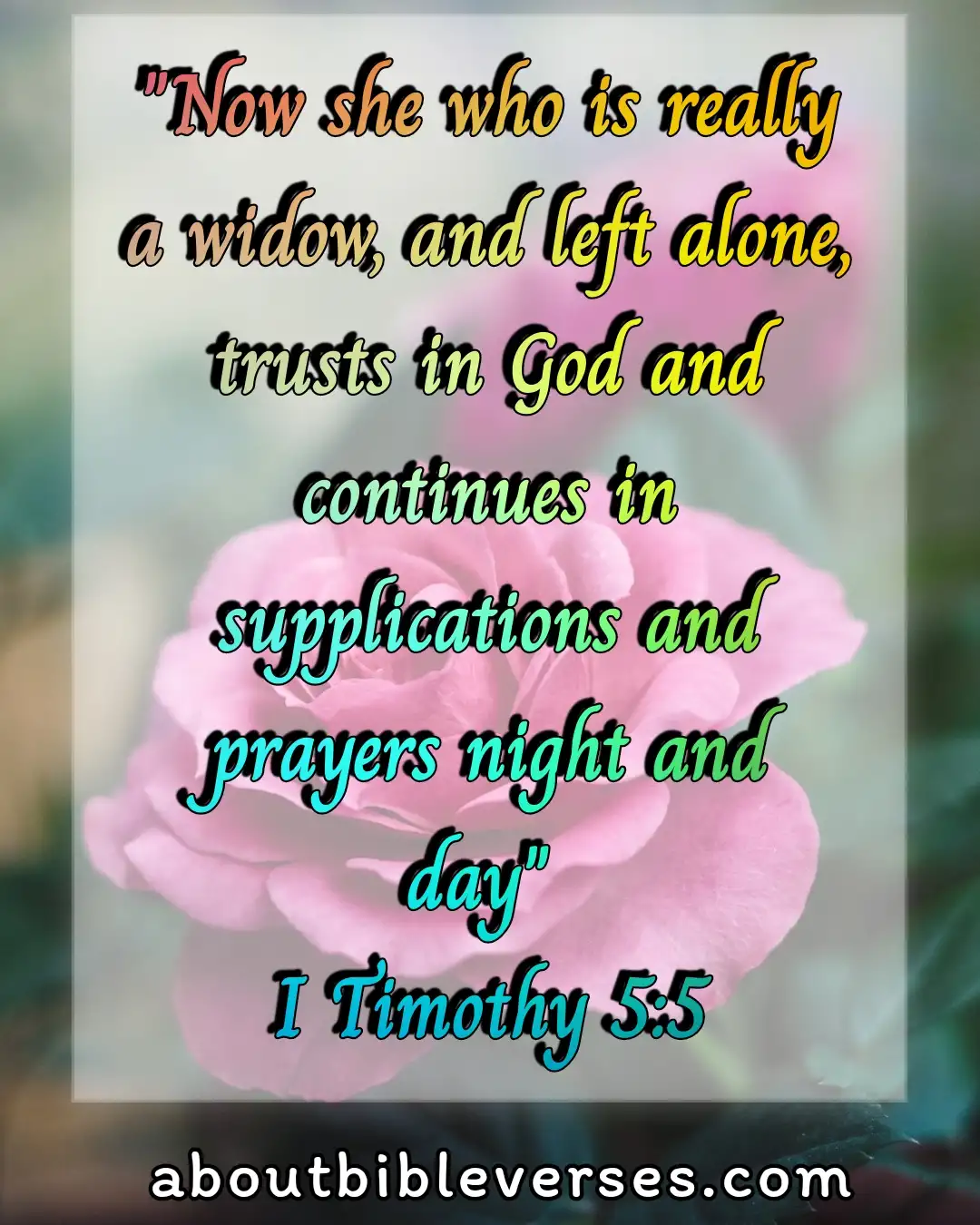 bible verses about widows (1 Timothy 5:5)