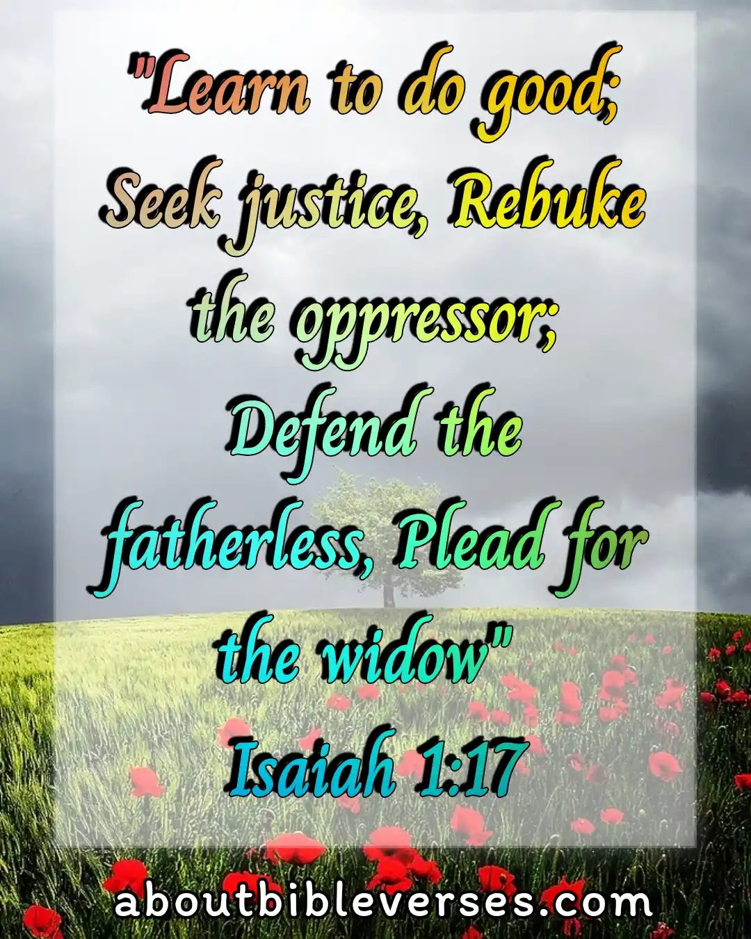 bible verses about widows (Isaiah 1:17)