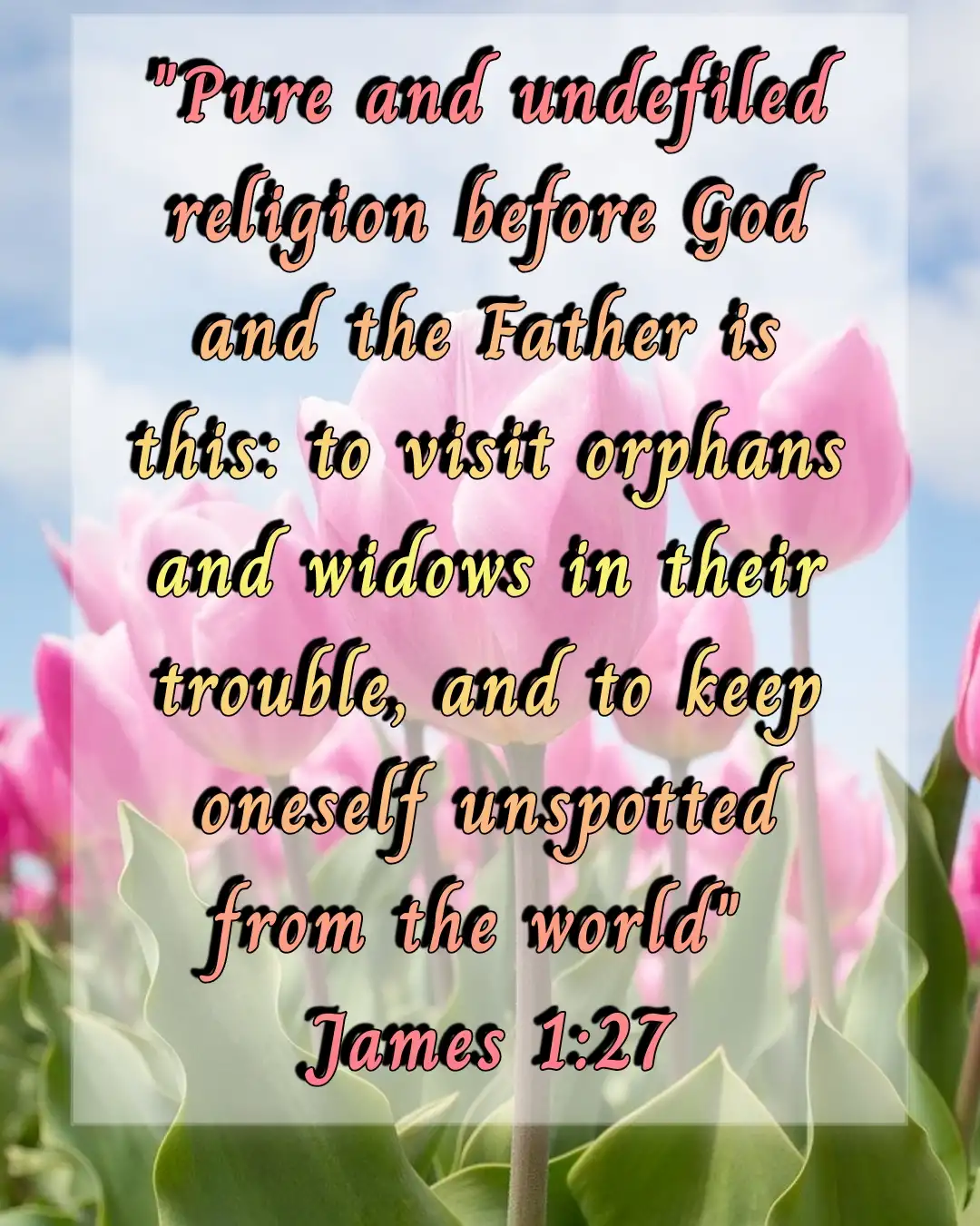 bible verses about adoption (James 1:27)