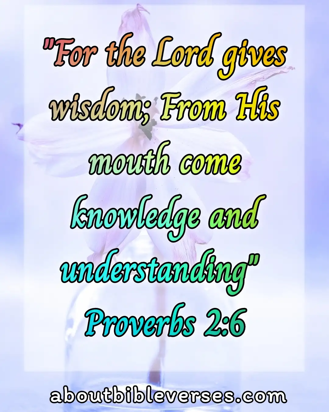 bible verses about wisdom (Proverbs 2:6)