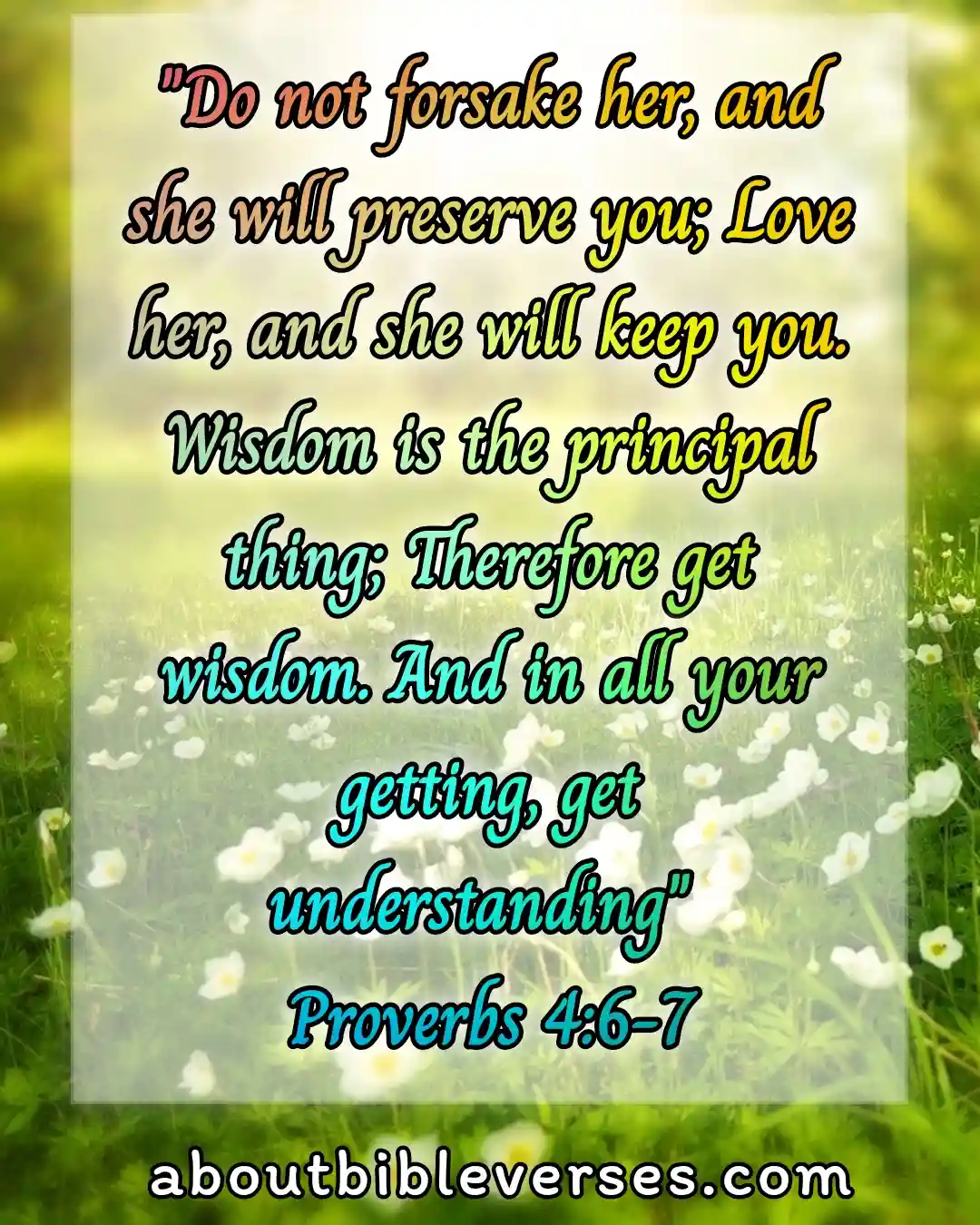 bible verses about wisdom (Proverbs 4:6-7)
