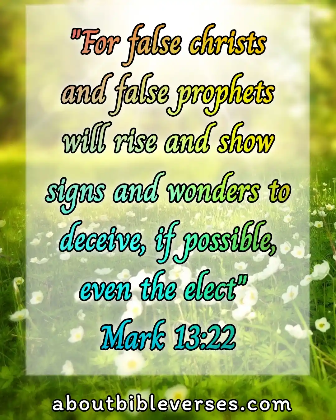 bible verse about deception in the last days (Mark 13:22)