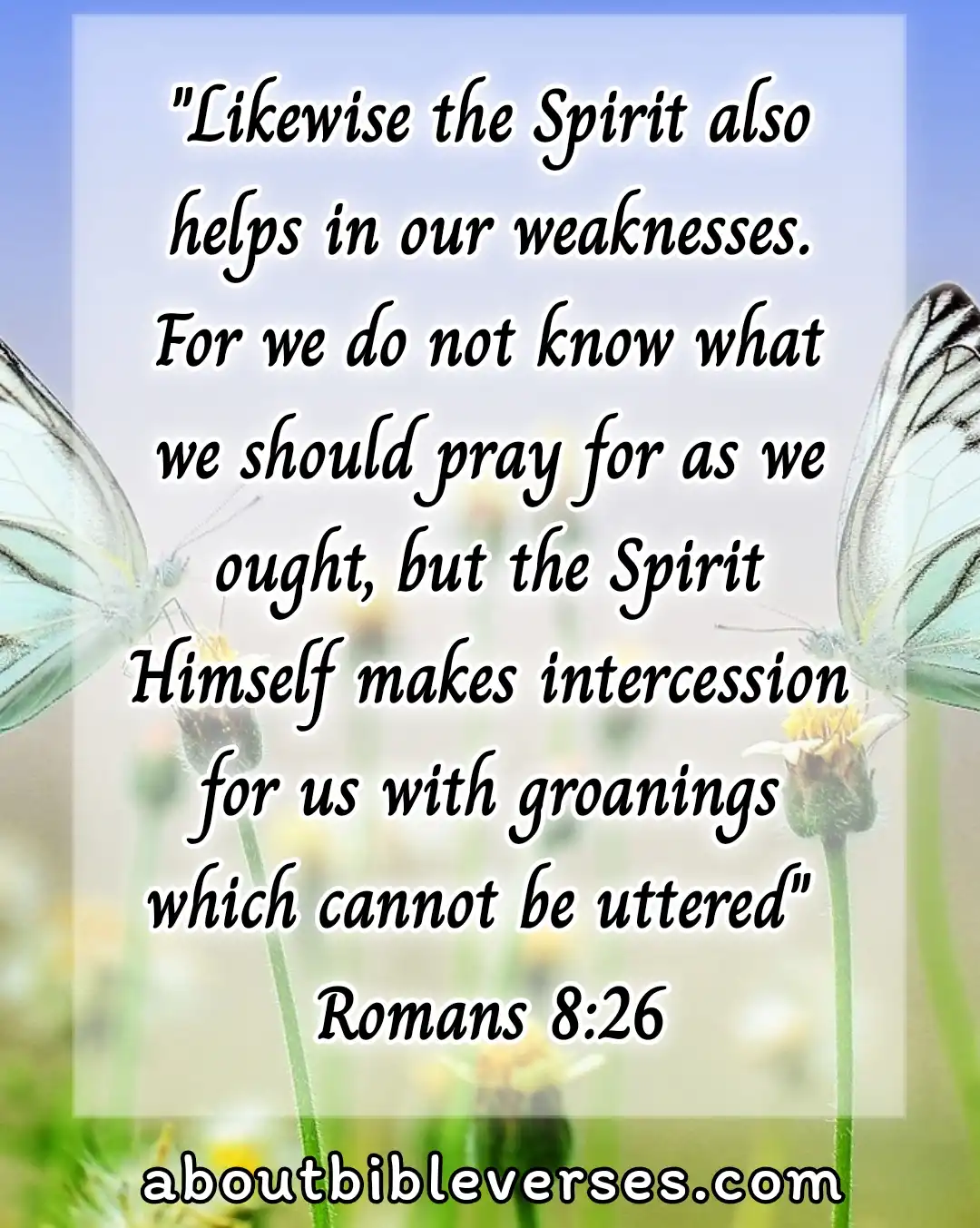 bible verses About Power Of prayer (Romans 8:26)