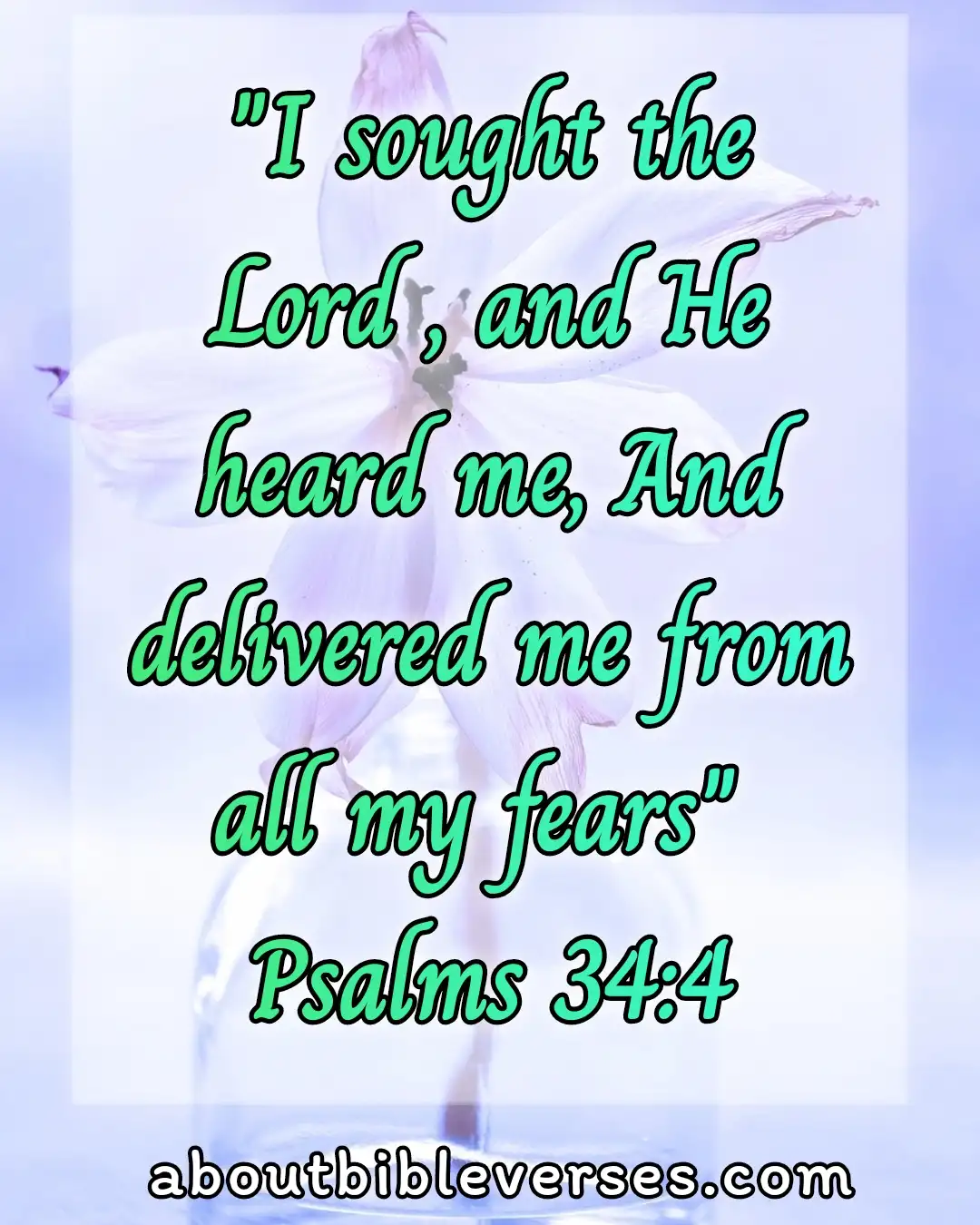 bible verses Do Not Fear (Psalm 34:4)