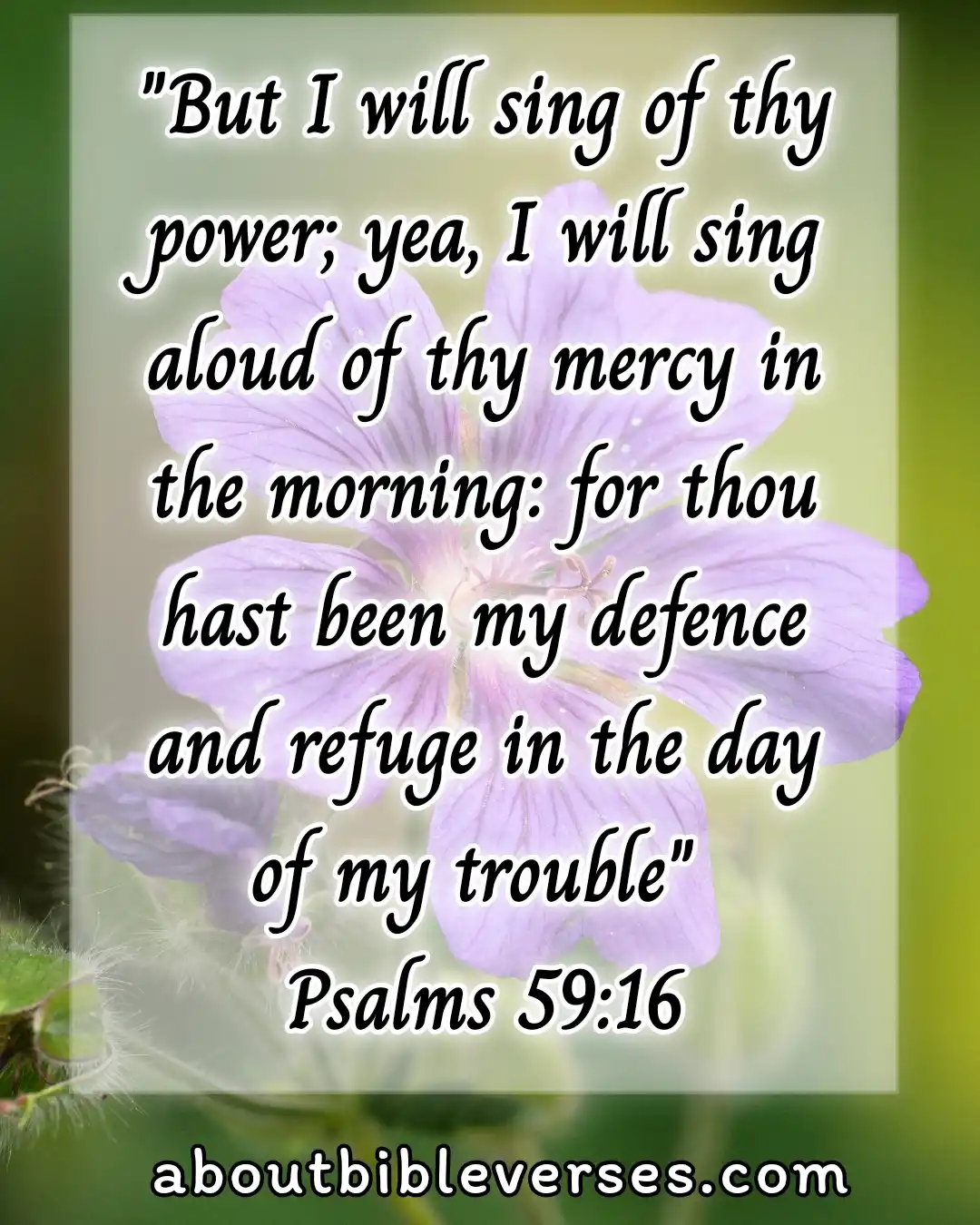 Good morning bible verses (Psalm 59:16)
