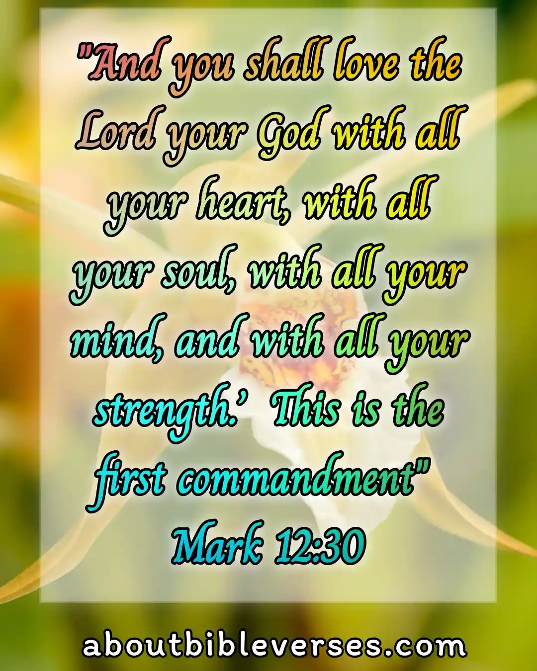 bible verses about your soul and heart (Mark 12:30)