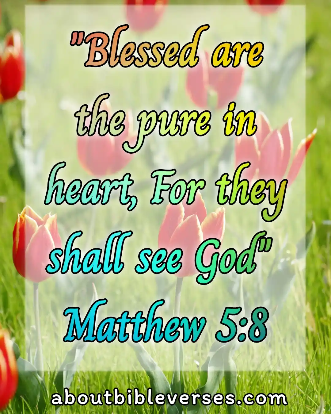 bible verses about your soul and heart (Matthew 5:8)