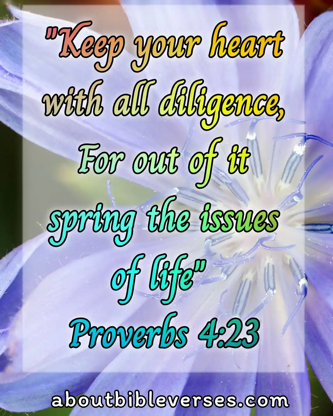 bible verses about your soul and heart (Proverbs 4:23)