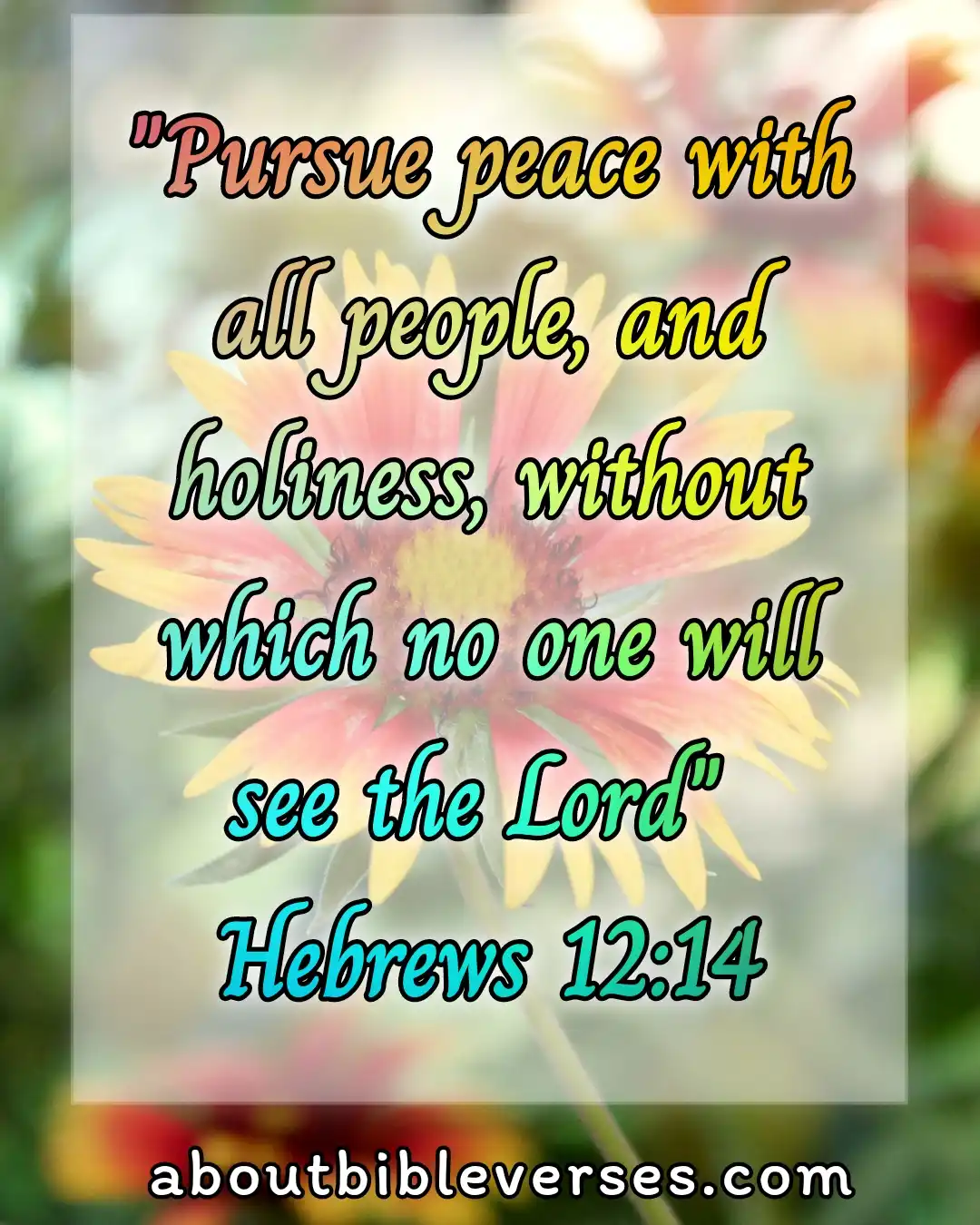 Today's bible verse (Hebrews 12:14)