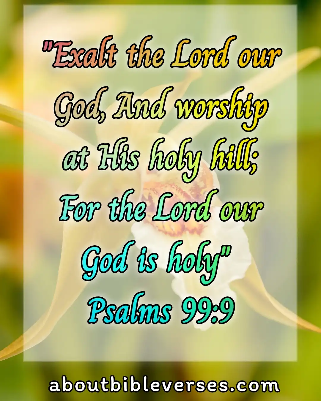 bible verses holiness (Psalm 99:9)
