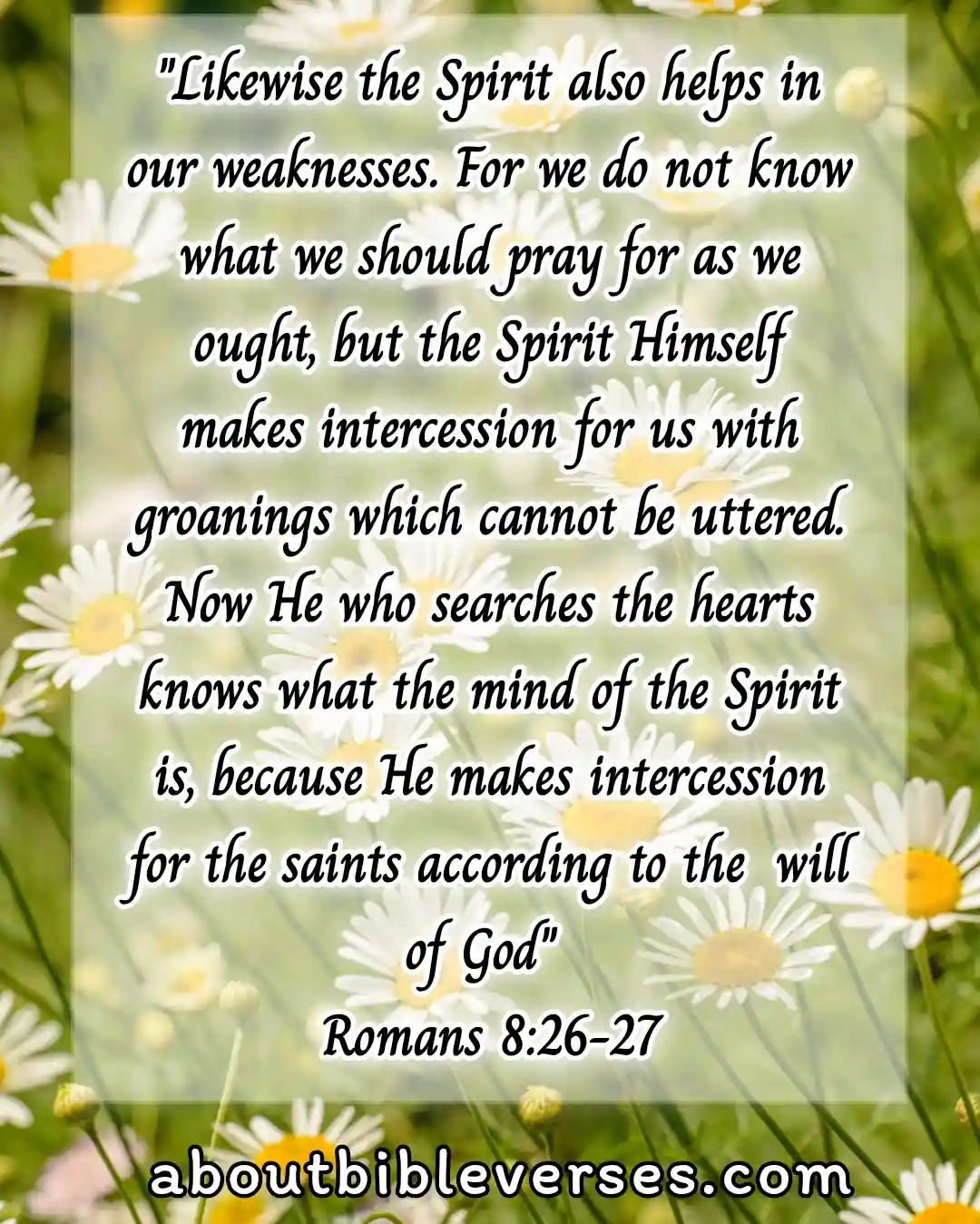 bible verses holiness (Romans 8:26-27)