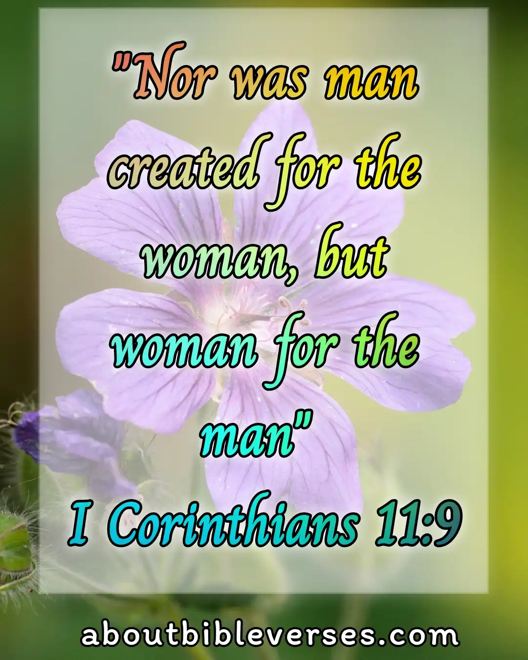 bible verses husband and wife relationship (1 Corinthians 11:9)