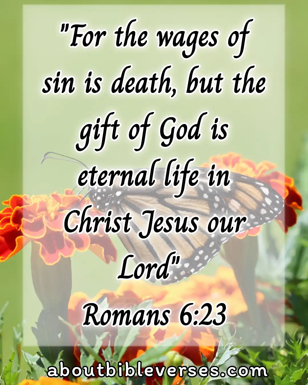 bible verses about confessing sins (Romans 6:23)