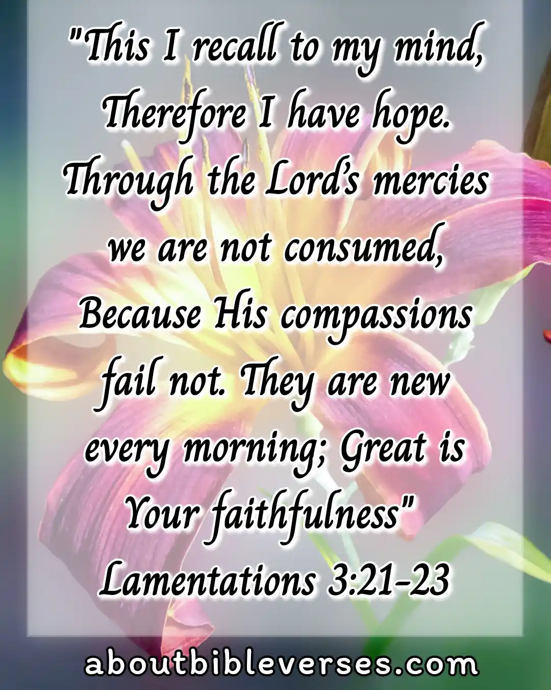 Bible verse about hope for the future (Lamentations 3:21-23)