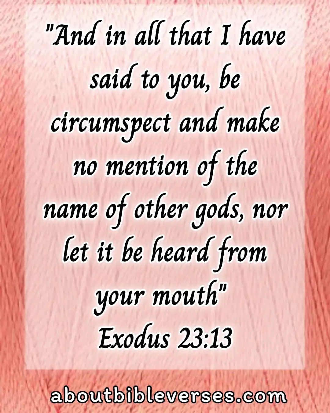 bible verses about idolatry (Exodus 23:13)