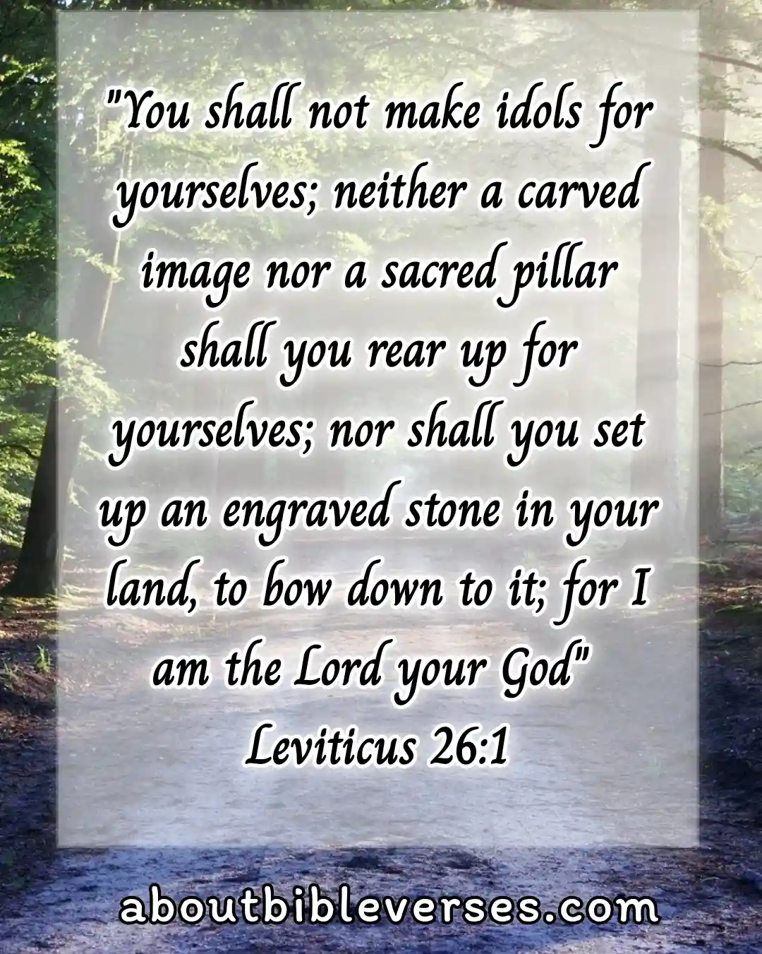 bible verses about idolatry (Leviticus 26:1)