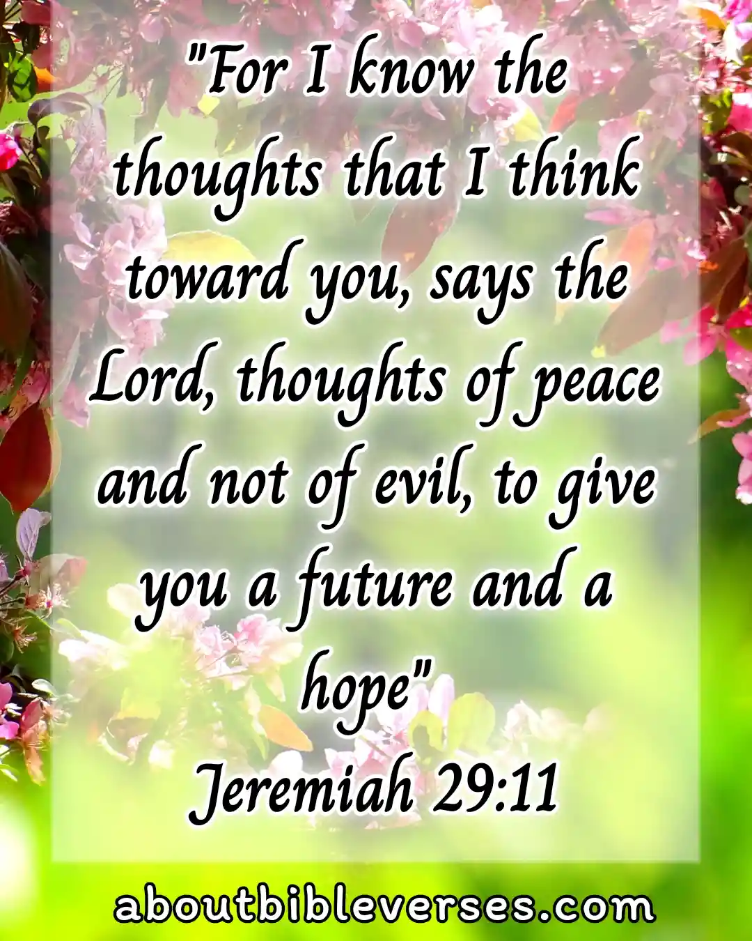 Bible verse about hope for the future (Jeremiah 29:11)