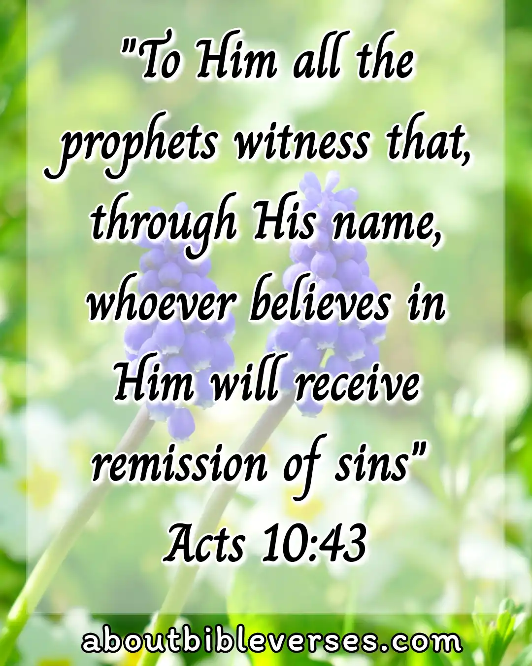 Bible Verses About Forgiveness of sins (Acts 10:43)