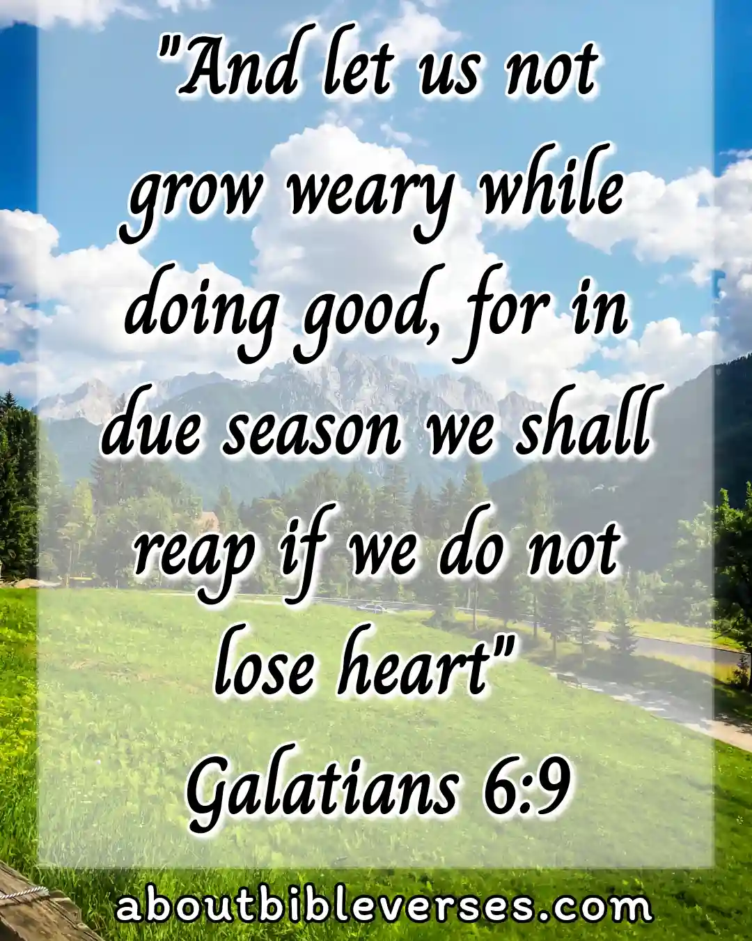 Bible Verse About Working (Galatians 6:9)