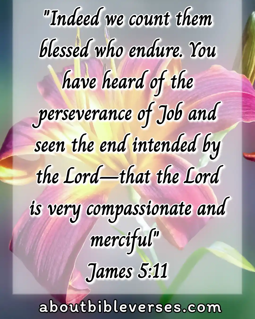 God Blessed Us (James 5:11)
