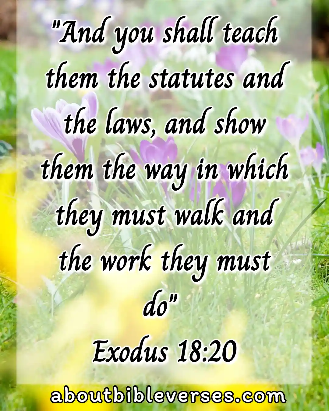 bible verses for teachers (Exodus 18:20)
