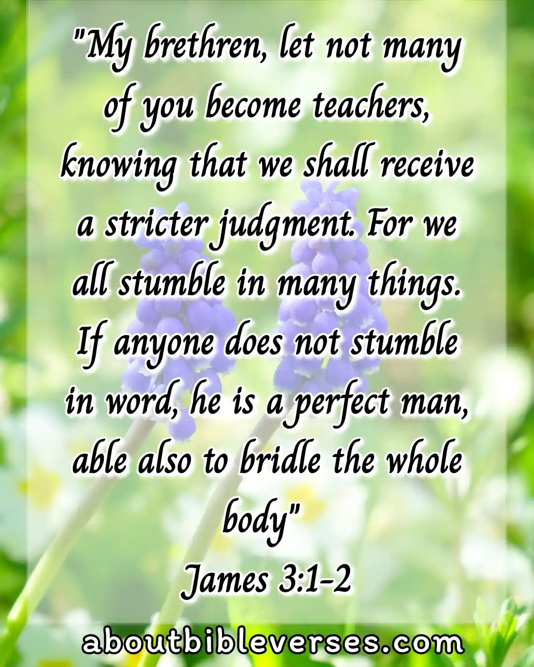 bible verses for teachers (James 3:1-2)