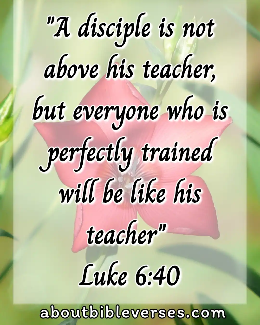 bible verses for teachers (Luke 6:40)