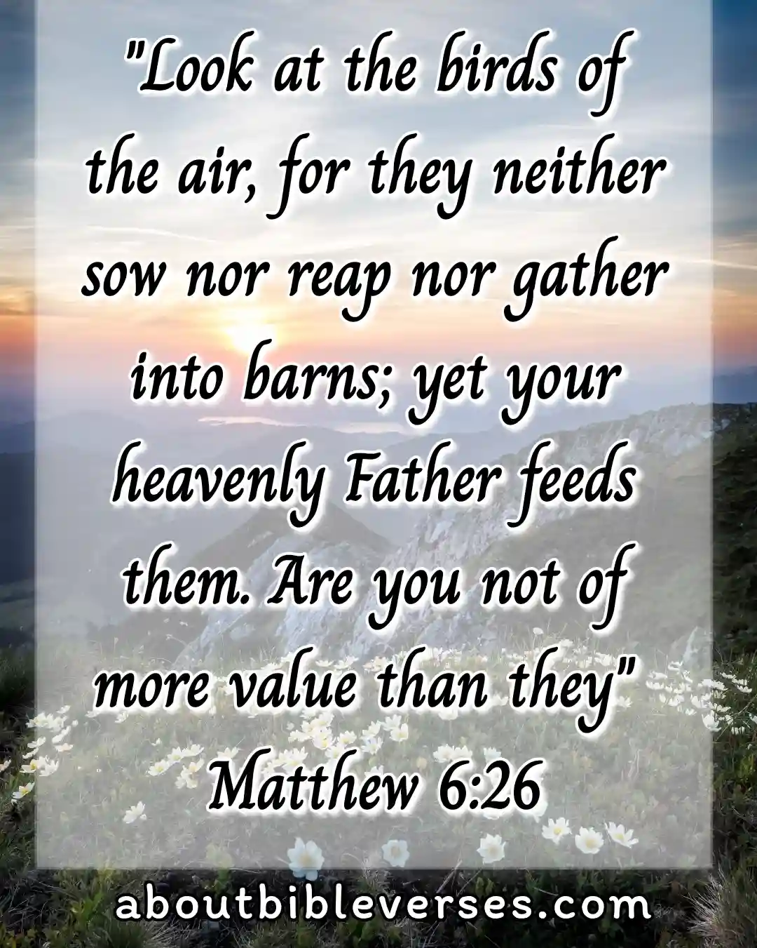 hope bible verses (Matthew 6:26)