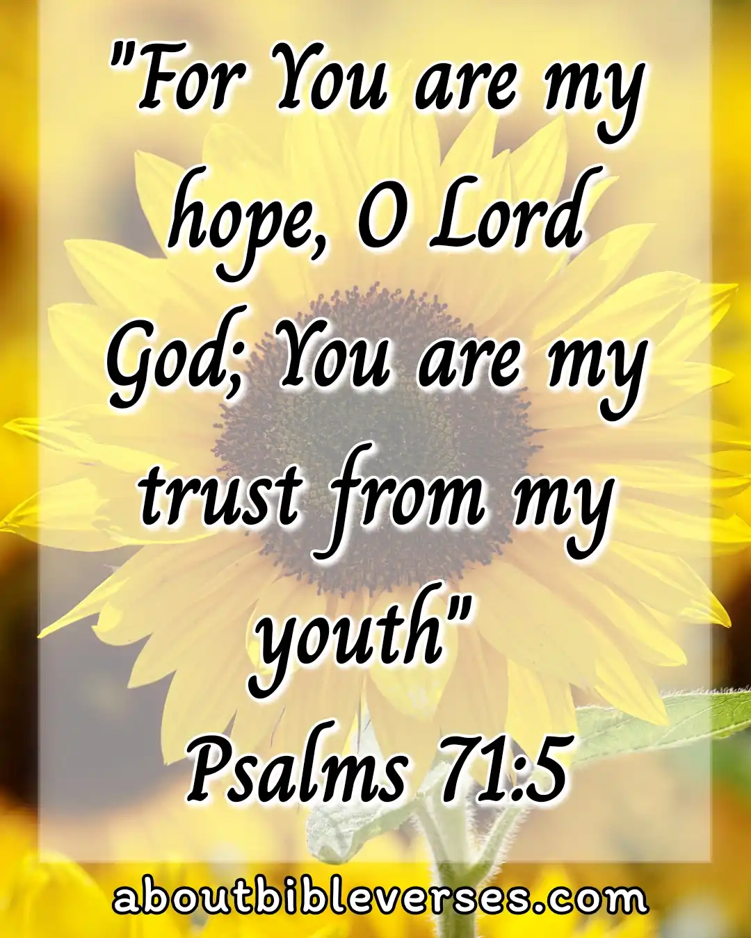 hope bible verses (Psalm 71:5)