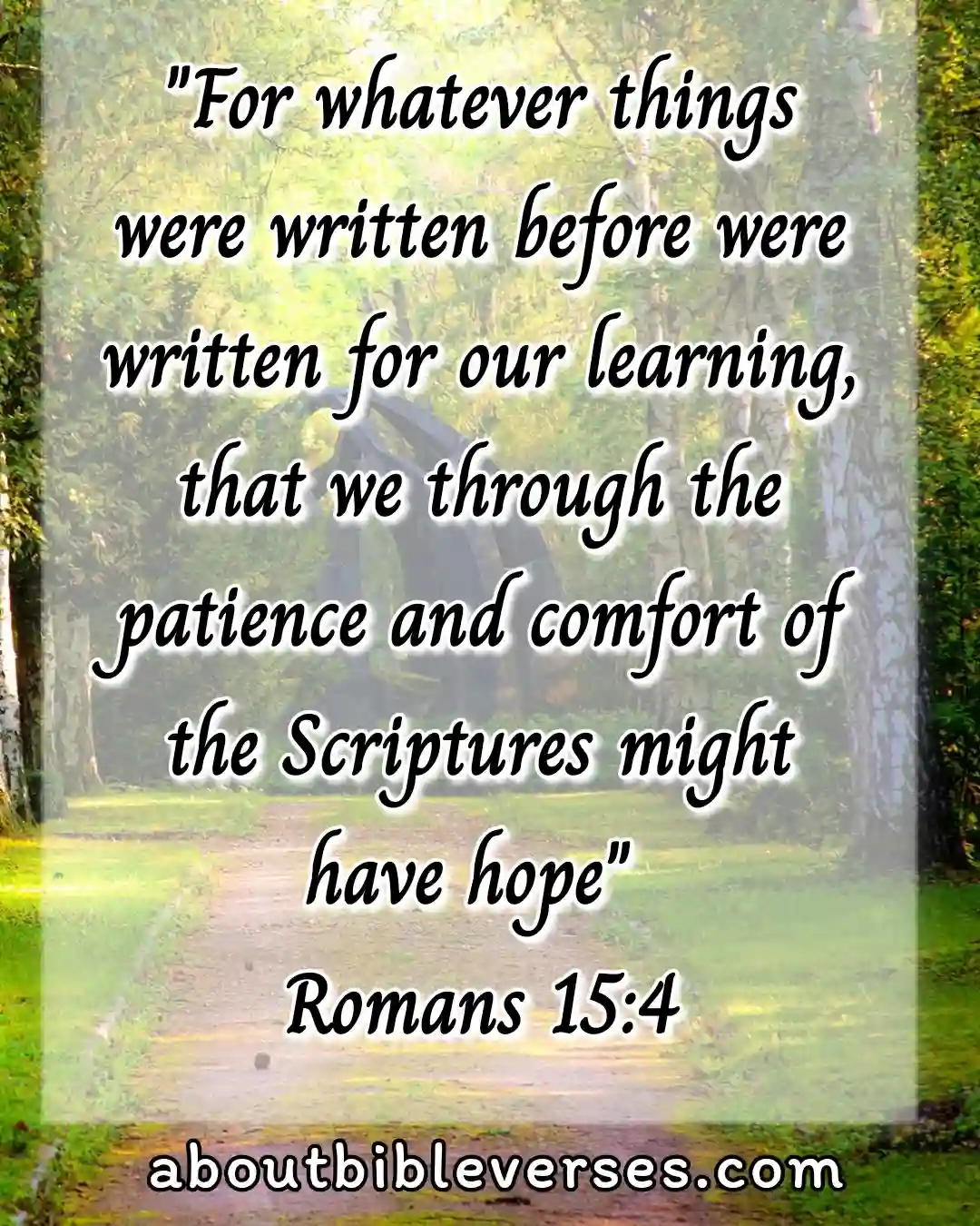 hope bible verses (Romans 15:4)