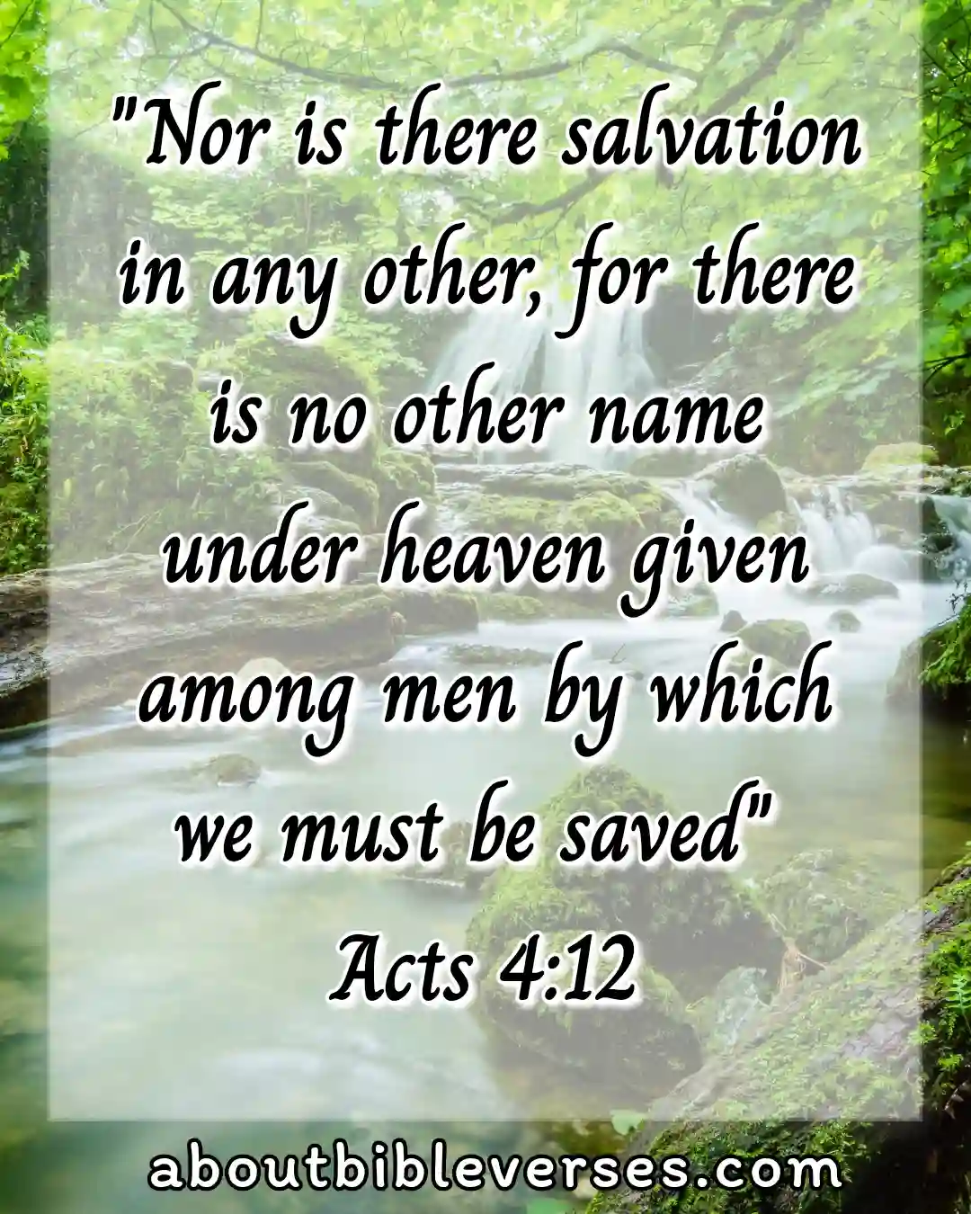 Today bible verse (Acts 4:12)