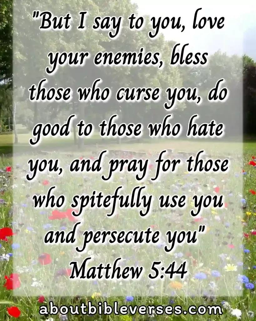 Bible Verses About Praying (Matthew 5:44)