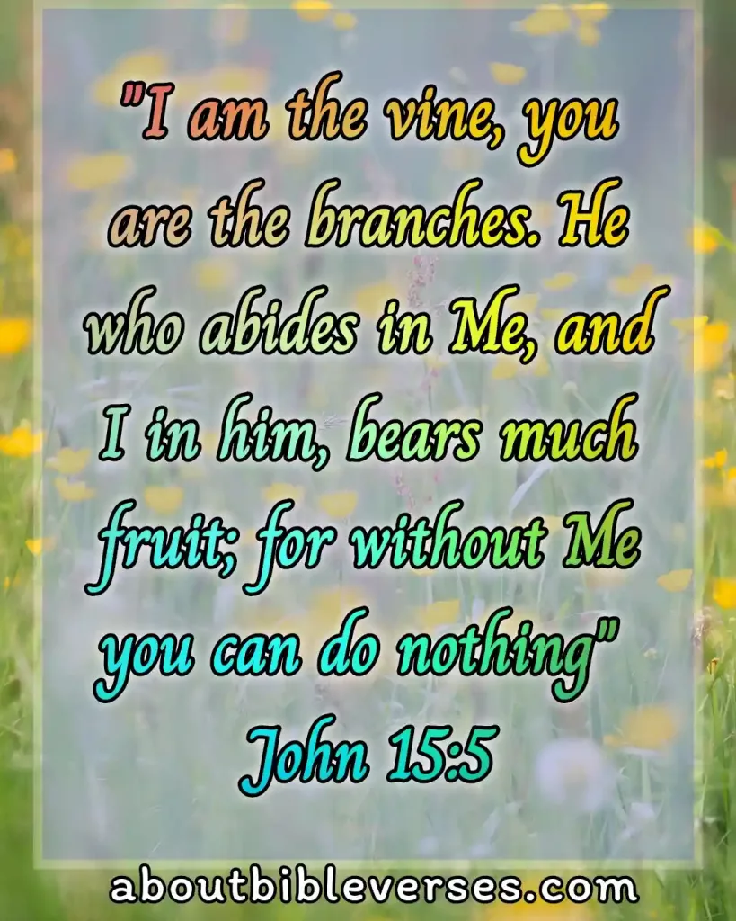 Bible Verses About Jesus Christ (John 15:5)