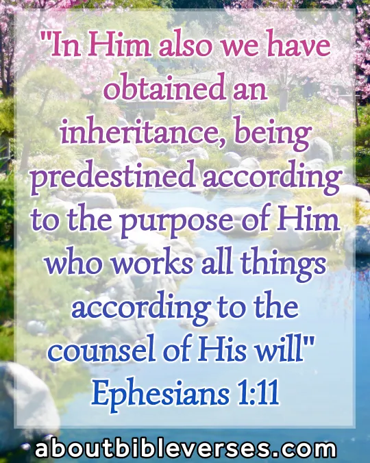 today bible verse (Ephesians 1:11)