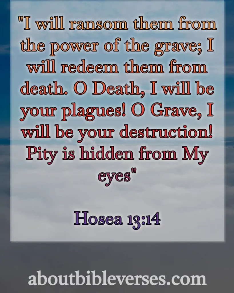 Bible Verses About Mourning The Loss Of A Loved One (Hosea 13:14)