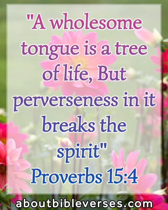 Today bible verse (Proverbs 15:4)