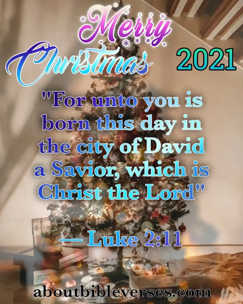 Merry Christmas Bible Quotes (2)