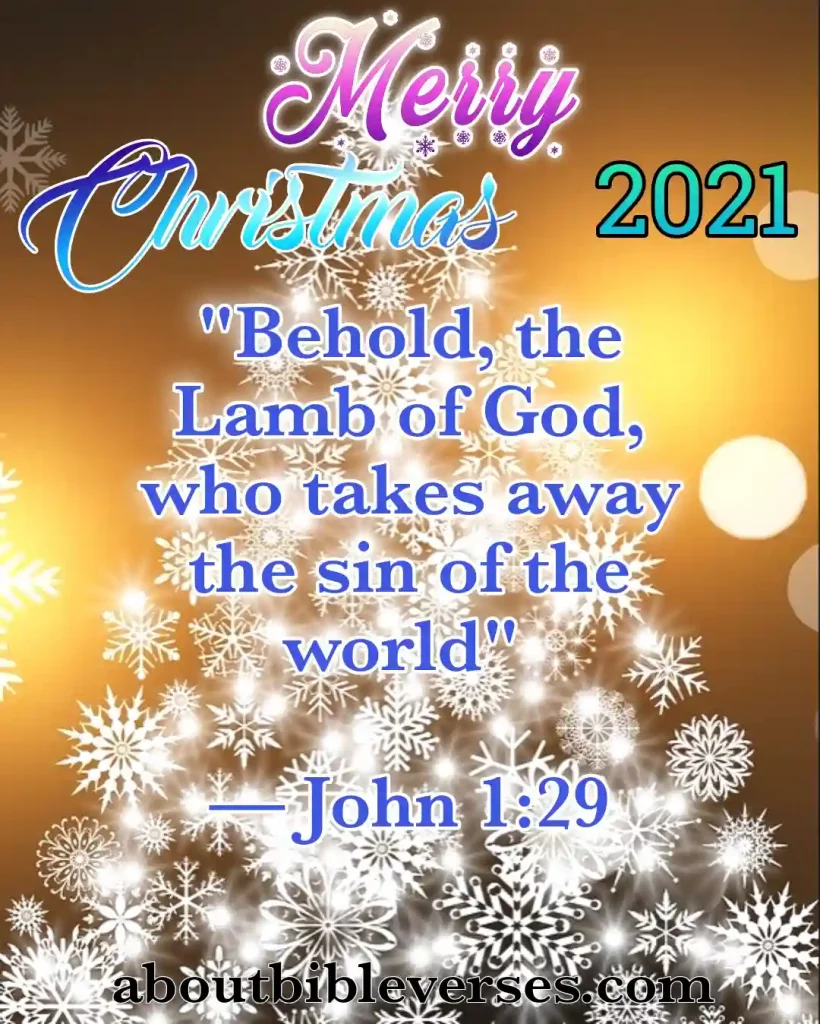Merry Christmas Bible Quotes (5)